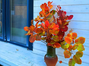 Коттедж Двухместный Под звездами