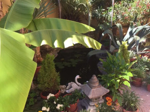 Гостевой дом Адениум585