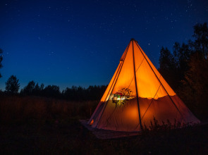 Глэмпинг Папоротник