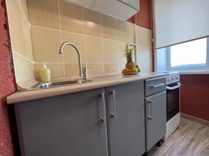 Квартира на Красном проспекте, 70