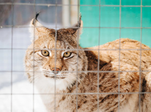 База отдыха Агротуристический комплекс Эль Ранчо