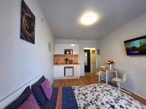 Апартаменты Вторая Студия на Ларюшина 4/2