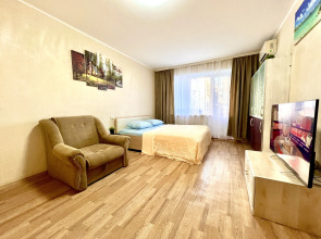 Апартаменты двухкомнатные (на Ново-Вокзальной 257А)