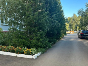 Квартира Уютная в курортной зоне города Белокуриха