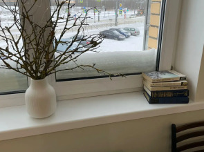 Апартаменты Атмосфера Петербурга у Экспофорума