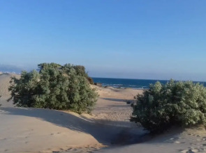 Апартаменты Студия ЖК Кавказ