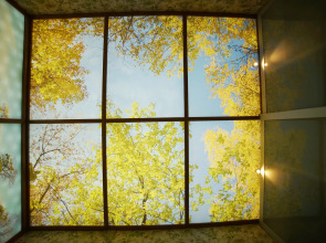 Апартаменты бизнес комфорт. Панорама города  с 26 этажа