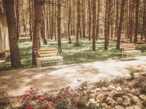 Отель Лесная Сказка