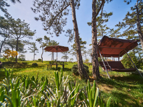 Гостевой дом Вилла Сова