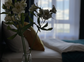 Апартаменты Современник