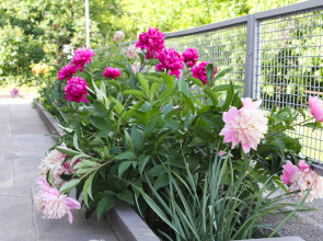 Гостевой Дом Lusya B&B