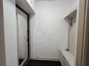 Квартира на Фрунзе/Московский Проспект (студия)