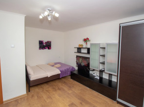 Квартира Комфортная рядом с ЭФКО