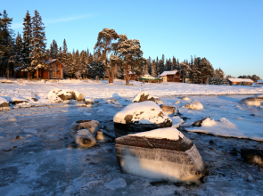 Отель Cedar Grass Белое Море