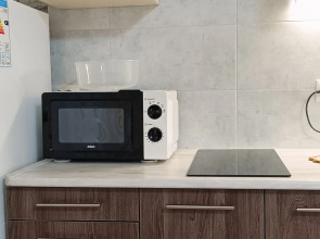 Квартира ГринПарк Студия