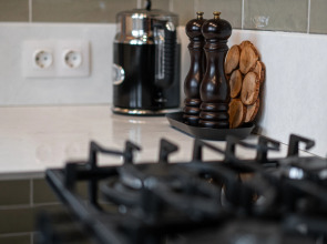 Апартаменты Мансарда в Немецком Особняке