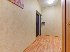 Апартаменты Hanaka Юбилейный 78