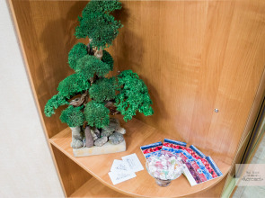 Апарт-Отель 5