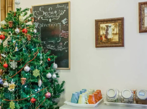 Хостел Сафари