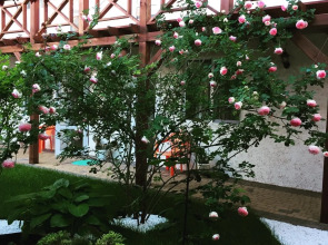 Мини-отель FreeDom