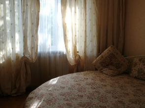 Квартира комфортная в самом центре города с приятным окружающим видом