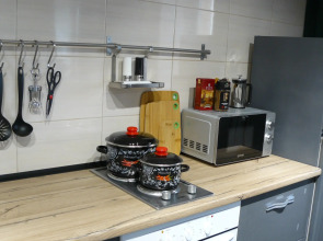 Апартаменты Рыжий Кот Дружный