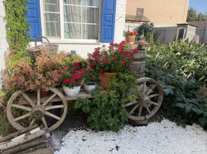 Гостевой Дом Шолохов Русская Изба