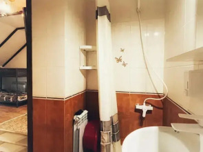 Меблированные комнаты с индивидуальной кухней На Просмушкиных