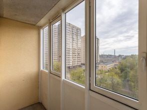 Квартира Евро-2 на Неве