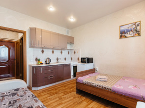 Апартаменты на КСМе