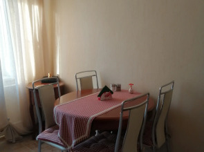 Квартира комфортная в самом центре города с приятным окружающим видом