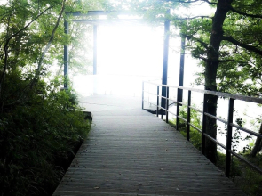 Квартира У Вадима