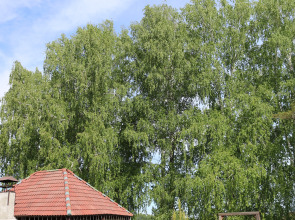 База отдыха  Уткуль.РФ