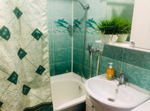 Квартира в исторической части города