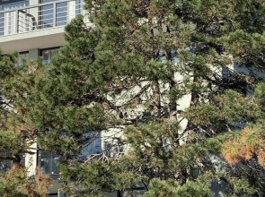 Бутик-Отель Базальт Club