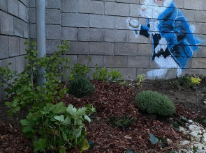 Частный дом Ботаника