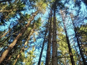 Гостевой дом Окулова Заимка