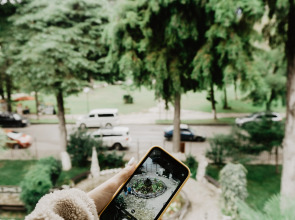 Отель Пицунда