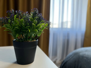 Квартира на Красном проспекте, 70