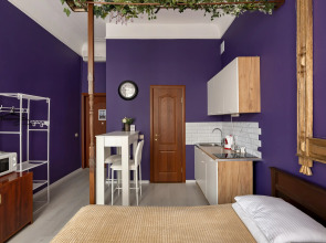 Апартаменты Студия Классическая на Василеостровской