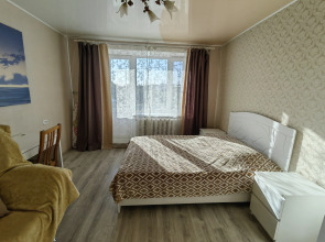 Апартаменты трехкомнатные  у Елены