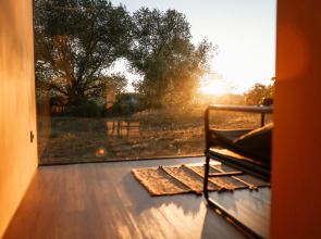 Глэмпинг Викингуд