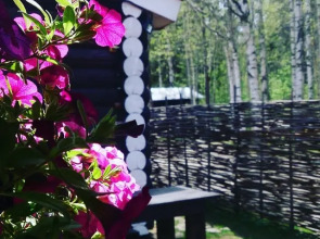 Отель Австерия