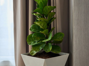 Вилла Phuket Paradise Retreat