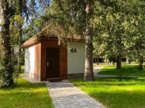 Отель Ruza Forest