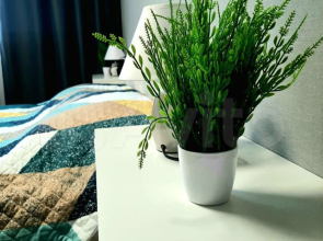 Квартира NOV-APART