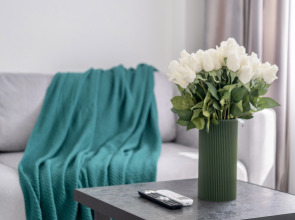 Квартира MaTur Home в центре у метро с шикарным видом