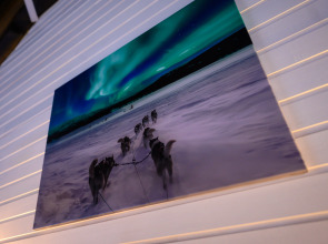 Отель на ферме