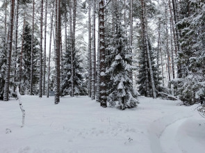 Частный дом Новый 6 местный дом у озера с банным чаном и баней.