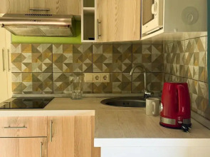 Квартира Студия у Метро Строгино СТ1